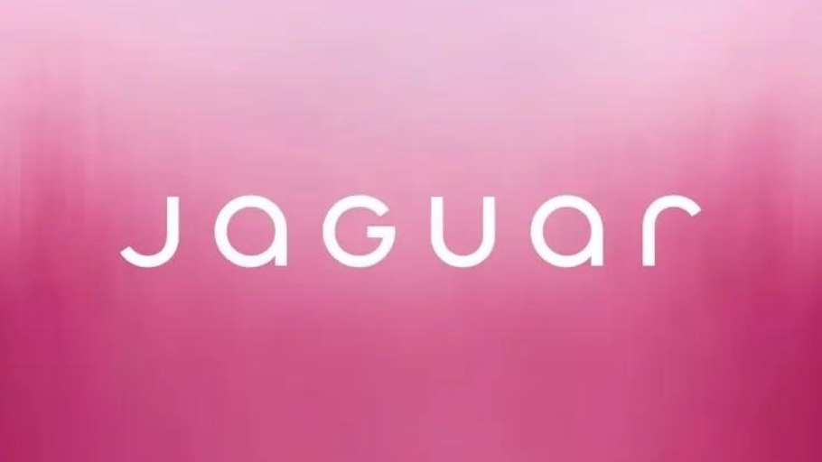 Новый фирменный стиль Jaguar. В моем понимании это не та модернизация, которая нужна была бренду